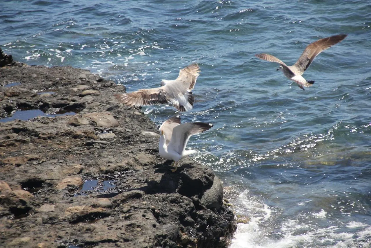 Pozo Gaviota Pozo Izquierdo