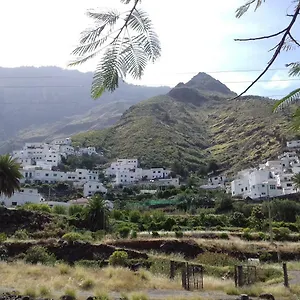 Lagarto Agaete (Gran Canaria)